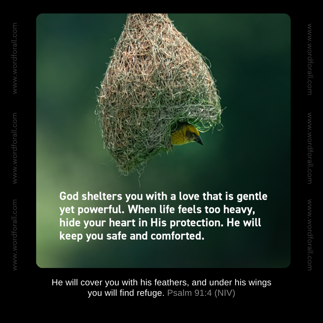 God shelters you with a love that is gentle yet powerful. When life feels too heavy, hide your heart in His protection. He will keep you safe and comforted.