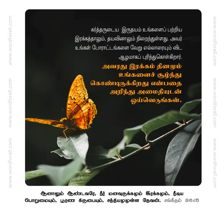 கர்த்தருடைய இருதயம் உங்களைப் பற்றிய இரக்கத்தாலும், தயவினாலும் நிறைந்துள்ளது. அவர் உங்கள் போராட்டங்களை வேறு எல்லாரையும் விட ஆழமாகப் புரிந்துகொள்கிறார். அவரது இரக்கம் தினமும் உங்களைச் சூழ்ந்து கொண்டிருக்கிறது என்பதை அறிந்து அமைதியுடன் ஓய்வெடுங்கள்.