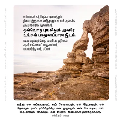 உங்களைச் சுற்றியுள்ள அனைத்தும் நிலையற்றதாக உணர்ந்தாலும் கடவுள் அசைக்க முடியாதவராக இருக்கிறார். ஒவ்வொரு புயலிலும் அவரே உங்கள் பாதுகாப்பான இடம். பயம் எழும்பும்போது அவரிடம் ஓடுங்கள். அவர் உங்களைப் பாதுகாப்பார், பலப்படுத்துவார், மீட்பார்.