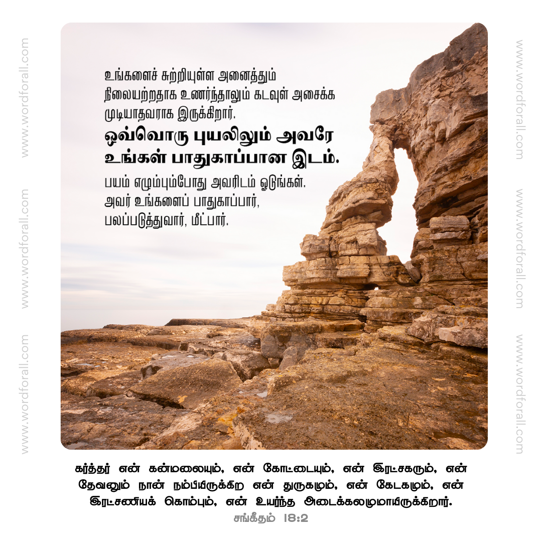 உங்களைச் சுற்றியுள்ள அனைத்தும் நிலையற்றதாக உணர்ந்தாலும் கடவுள் அசைக்க முடியாதவராக இருக்கிறார். ஒவ்வொரு புயலிலும் அவரே உங்கள் பாதுகாப்பான இடம். பயம் எழும்பும்போது அவரிடம் ஓடுங்கள். அவர் உங்களைப் பாதுகாப்பார், பலப்படுத்துவார், மீட்பார்.