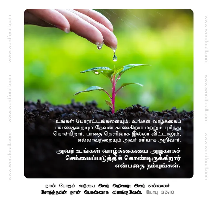 உங்கள் போராட்டங்களையும், உங்கள் வாழ்க்கைப் பயணத்தையும் தேவன் காண்கிறார் மற்றும் புரிந்துகொள்கிறார். பாதை தெளிவாக இல்லாவிட்டாலும், எல்லாவற்றையும் அவர் சரியாக அறிவார். அவர் உங்கள் வாழ்க்கையை அழகாகச் செம்மைப்படுத்திக் கொண்டிருக்கிறார் என்பதை நம்புங்கள்.