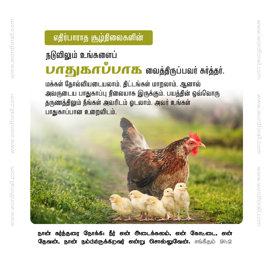 எதிர்பாராத சூழ்நிலைகளின் நடுவிலும் உங்களைப் பாதுகாப்பாக வைத்திருப்பவர் கர்த்தர். மக்கள் தோல்வியடையலாம், திட்டங்கள் மாறலாம், ஆனால் அவருடைய பாதுகாப்பு நிலையாக இருக்கும். பயத்தின் ஒவ்வொரு தருணத்திலும் நீங்கள் அவரிடம் ஓடலாம். அவர் உங்கள் பாதுகாப்பான உறைவிடம்.