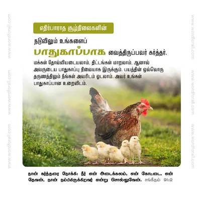 எதிர்பாராத சூழ்நிலைகளின் நடுவிலும் உங்களைப் பாதுகாப்பாக வைத்திருப்பவர் கர்த்தர். மக்கள் தோல்வியடையலாம், திட்டங்கள் மாறலாம், ஆனால் அவருடைய பாதுகாப்பு நிலையாக இருக்கும். பயத்தின் ஒவ்வொரு தருணத்திலும் நீங்கள் அவரிடம் ஓடலாம். அவர் உங்கள் பாதுகாப்பான உறைவிடம்.