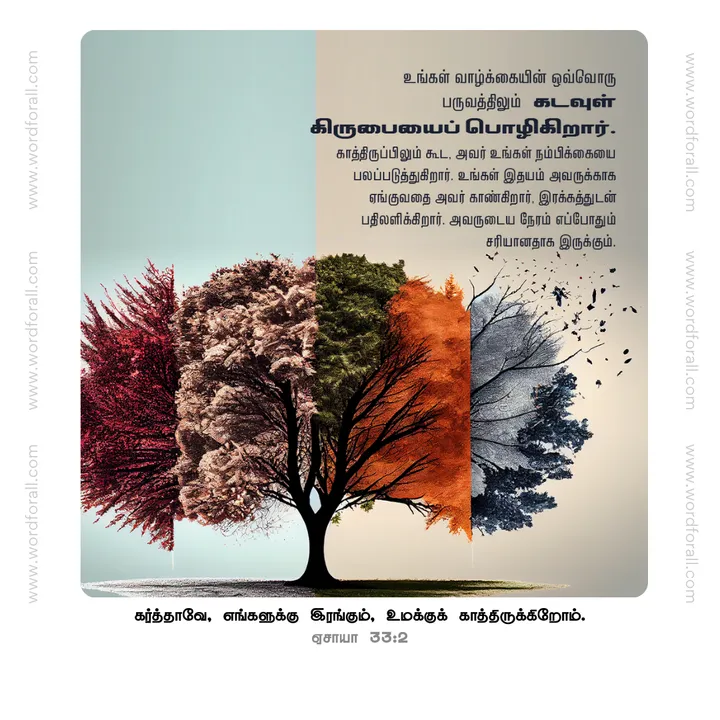 உங்கள் வாழ்க்கையின் ஒவ்வொரு பருவத்திலும் கடவுள் கிருபையைப் பொழிகிறார். காத்திருப்பிலும் கூட, அவர் உங்கள் நம்பிக்கையை பலப்படுத்துகிறார். உங்கள் இதயம் அவருக்காக ஏங்குவதை அவர் காண்கிறார், இரக்கத்துடன் பதிலளிக்கிறார். அவருடைய நேரம் எப்போதும் சரியானதாக இருக்கும்.