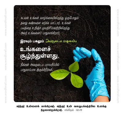 கடவுள் உங்கள் வாழ்க்கையிலிருந்து ஒருபோதும் தனது கண்களை எடுக்க மாட்டார். உங்கள் பலத்தை உறிஞ்ச முயற்சிப்பவற்றிலிருந்து அவர் உங்களைப் பாதுகாக்கிறார். இரவும் பகலும் அவருடைய பாதுகாப்பு உங்களைச் சூழ்ந்துள்ளது. நீங்கள் அவருடைய பராமரிப்பில் பாதுகாப்பாக இருக்கிறீர்கள்.