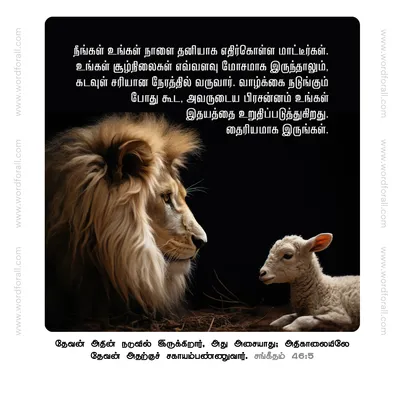 நீங்கள் உங்கள் நாளை தனியாக எதிர்கொள்ள மாட்டீர்கள். உங்கள் சூழ்நிலைகள் எவ்வளவு மோசமாக இருந்தாலும், கடவுள் சரியான நேரத்தில் வருவார். வாழ்க்கை நடுங்கும் போது கூட, அவருடைய பிரசன்னம் உங்கள் இதயத்தை உறுதிப்படுத்துகிறது. தைரியமாக இருங்கள்.