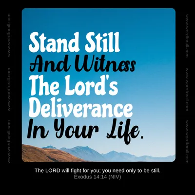 Stand Still And Witness The Lord's Deliverance In Your Life.