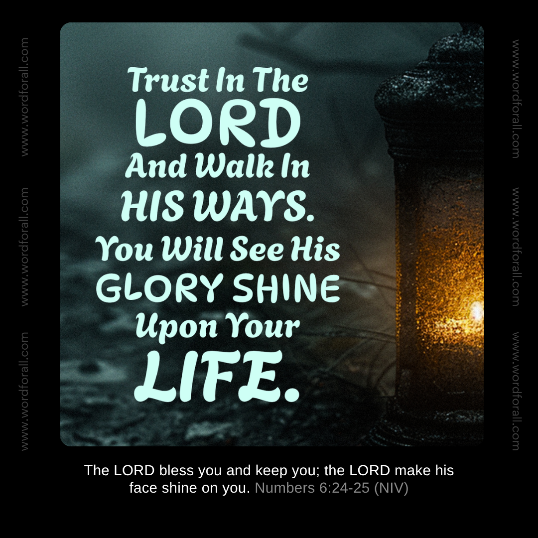 Trust In The Lord And Walk In His Ways. You Will See His Glory Shine Upon Your Life.