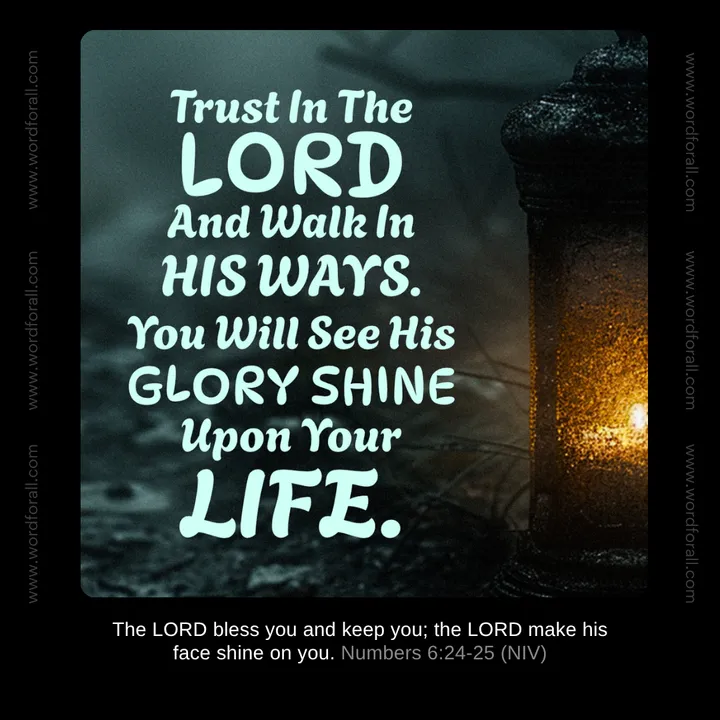 Trust In The Lord And Walk In His Ways. You Will See His Glory Shine Upon Your Life.