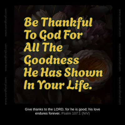 Be Thankful To God For All The Goodness He Has Shown In Your Life.