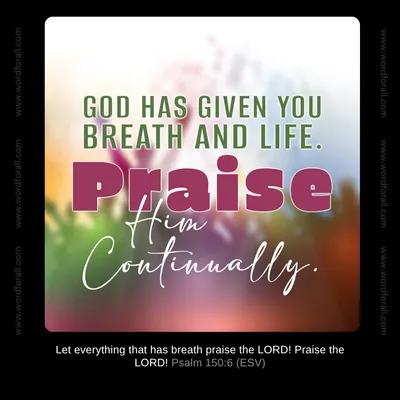 God Has Given You Breath And Life. Praise Him Continually.