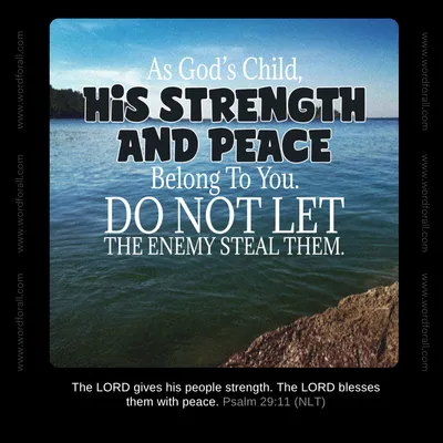 As God's Child, His Strength And Peace Belong To You. Do Not Let The Enemy Steal Them.