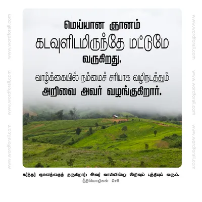 இந்த வாழ்க்கைப் போராட்டத்தை நீங்கள் தனியாகப் போராட வேண்டியதில்லை. அமைதியாக இருங்கள், அவரை நம்புங்கள், ஆண்டவர் உங்களுக்காகப் போராடட்டும்.