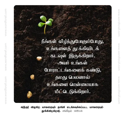 நீங்கள் வீழ்ந்துபோகும்போது, உங்களைத் தூக்கிவிடக் கடவுள் இருக்கிறார். அவர் உங்கள் போராட்டங்களைக் கண்டு, தமது பெலனால் உங்களை மென்மையாக மீட்டெடுக்கிறார்.