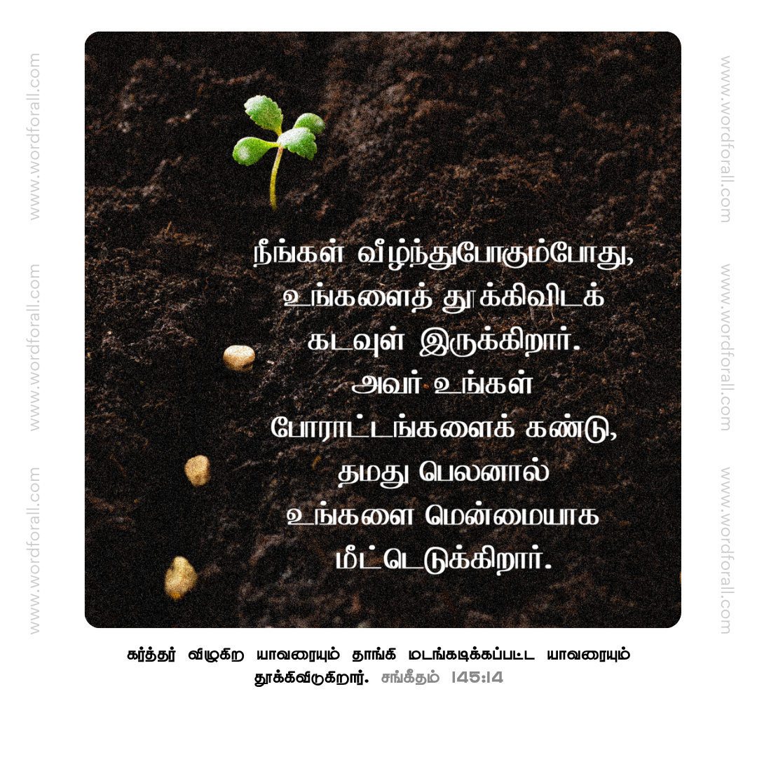 நீங்கள் வீழ்ந்துபோகும்போது, உங்களைத் தூக்கிவிடக் கடவுள் இருக்கிறார். அவர் உங்கள் போராட்டங்களைக் கண்டு, தமது பெலனால் உங்களை மென்மையாக மீட்டெடுக்கிறார்.