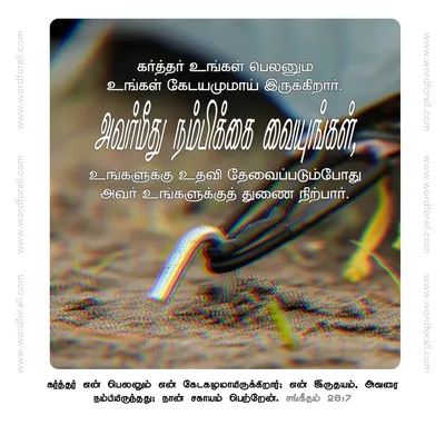 கர்த்தர் உங்கள் பெலனும் உங்கள் கேடயமுமாய் இருக்கிறார். அவர்மீது நம்பிக்கை வையுங்கள், உங்களுக்கு உதவி தேவைப்படும்போது அவர் உங்களுக்குத் துணை நிற்பார்.