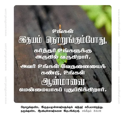 உங்கள் இதயம் நொறுங்கும்போது, கர்த்தர் உங்களுக்கு அருகில் வருகிறார். அவர் உங்கள் வேதனையைக் கண்டு, உங்கள் ஆன்மாவை மென்மையாகப் புதுப்பிக்கிறார்.