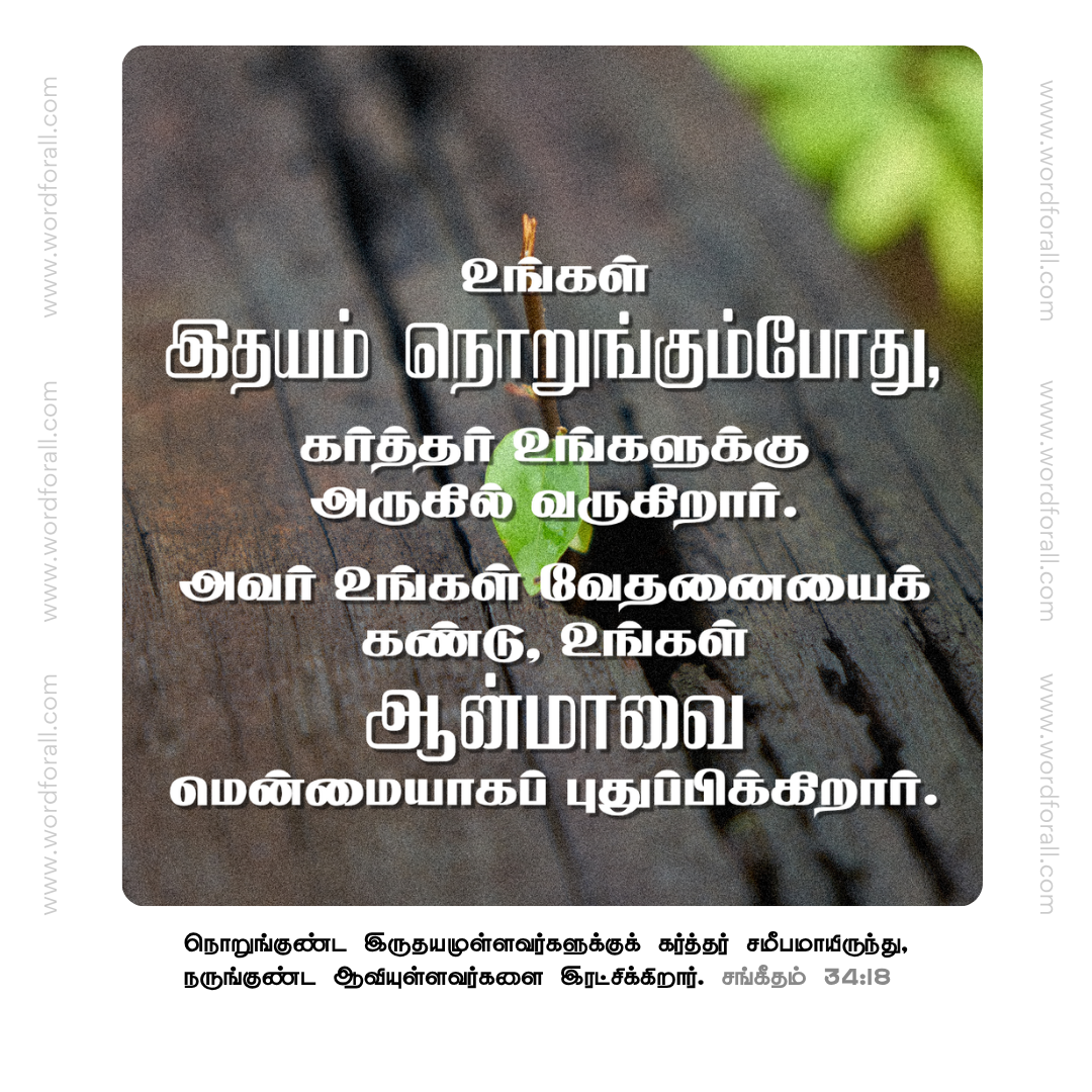 உங்கள் இதயம் நொறுங்கும்போது, கர்த்தர் உங்களுக்கு அருகில் வருகிறார். அவர் உங்கள் வேதனையைக் கண்டு, உங்கள் ஆன்மாவை மென்மையாகப் புதுப்பிக்கிறார்.