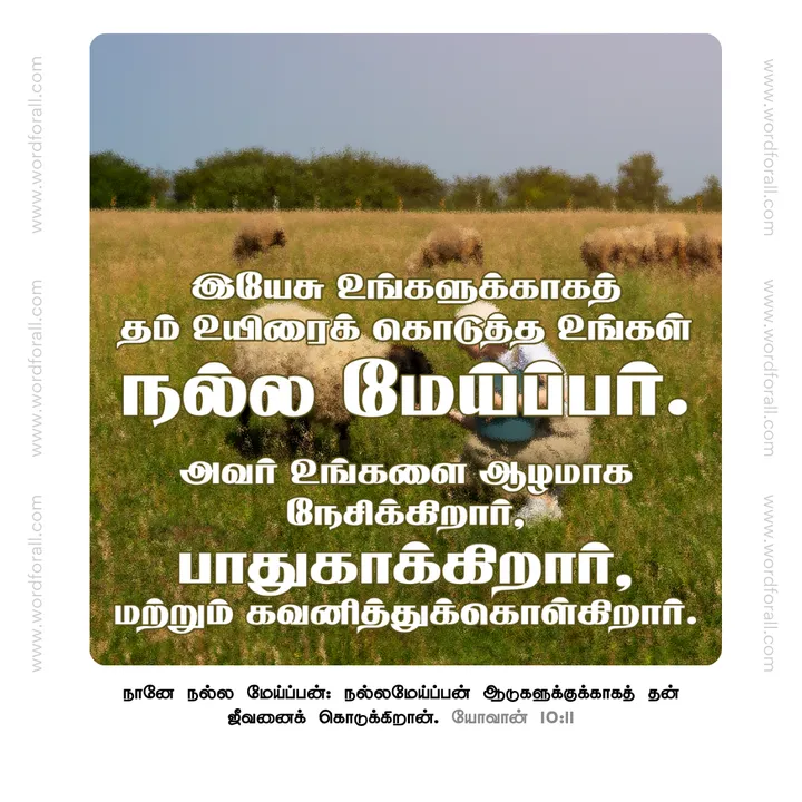 இயேசு உங்களுக்காகத் தம் உயிரைக் கொடுத்த உங்கள் நல்ல மேய்ப்பர். அவர் உங்களை ஆழமாக நேசிக்கிறார், பாதுகாக்கிறார், மற்றும் கவனித்துக்கொள்கிறார்.