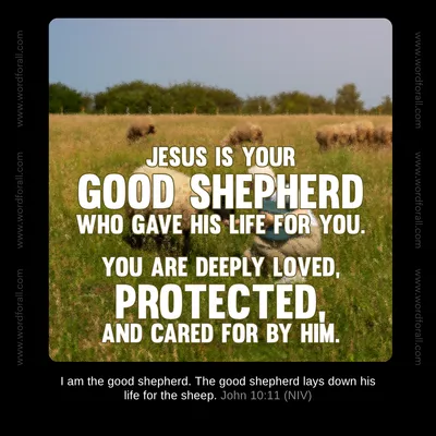 Jesus is your Good Shepherd who gave His life for you. You are deeply loved, protected, and cared for by Him.