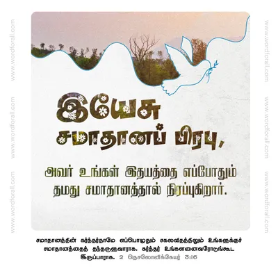 இயேசு சமாதானப் பிரபு, அவர் உங்கள் இதயத்தை எப்போதும் தமது சமாதானத்தால் நிரப்புகிறார்.