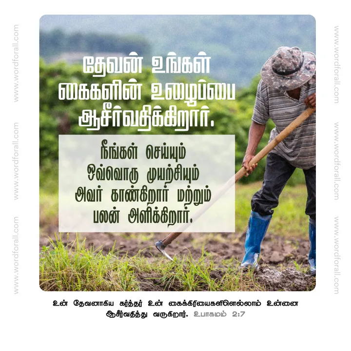 தேவன் உங்கள் கைகளின் உழைப்பை ஆசீர்வதிக்கிறார். நீங்கள் செய்யும் ஒவ்வொரு முயற்சியும் அவர் காண்கிறார் மற்றும் பலன் அளிக்கிறார்.