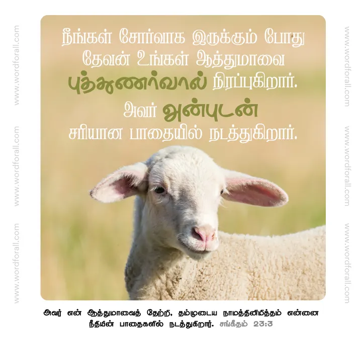 நீங்கள் சோர்வாக இருக்கும் போது தேவன் உங்கள் ஆத்துமாவை புத்துணர்வால் நிரப்புகிறார். அவர் அன்புடன் சரியான பாதையில் நடத்துகிறார்.