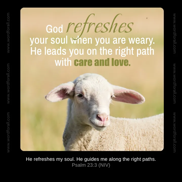 God refreshes your soul when you are weary. He leads you on the right path with care and love.