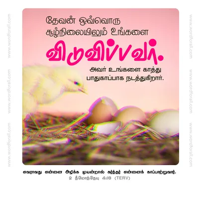 தேவன் ஒவ்வொரு சூழ்நிலையிலும் உங்களை விடுவிப்பவர். அவர் உங்களை காத்து பாதுகாப்பாக நடத்துகிறார்.