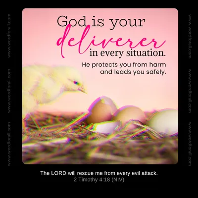 God is your deliverer in every situation. He protects you from harm and leads you safely.