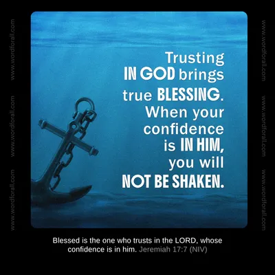 Trusting in God brings true blessing.
When your confidence is in Him, you will not be shaken.