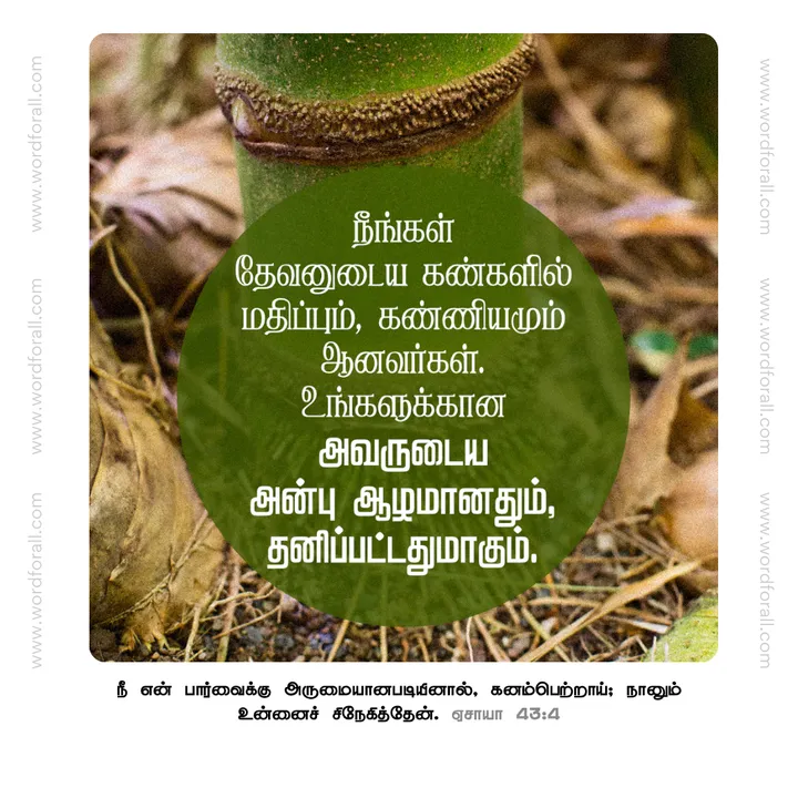நீங்கள் தேவனுடைய கண்களில் மதிப்பும், கண்ணியமும் ஆனவர்கள். உங்களுக்கான அவருடைய அன்பு ஆழமானதும், தனிப்பட்டதுமாகும்.