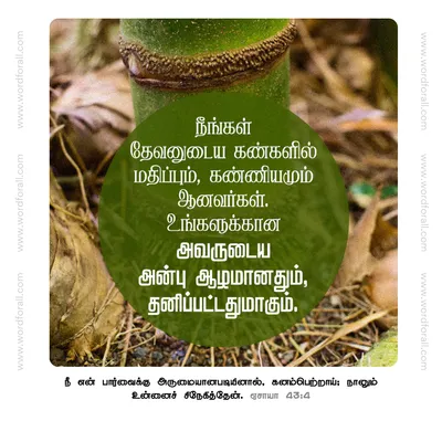 நீங்கள் தேவனுடைய கண்களில் மதிப்பும், கண்ணியமும் ஆனவர்கள். உங்களுக்கான அவருடைய அன்பு ஆழமானதும், தனிப்பட்டதுமாகும்.