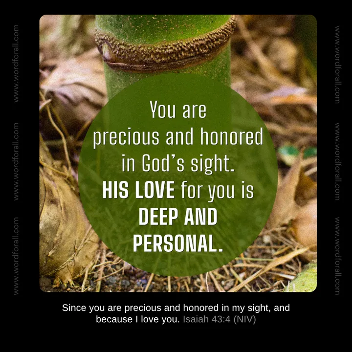 You are precious and honored in God's sight. His love for you is deep and personal.