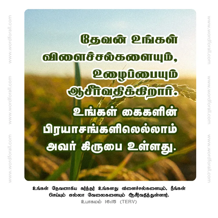 தேவன் உங்கள் விளைச்சல்களையும், உழைப்பையும் ஆசீர்வதிக்கிறார். உங்கள் கைகளின் பிரயாசங்களிலெல்லாம் அவர் கிருபை உள்ளது.
