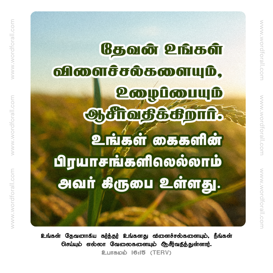 தேவன் உங்கள் விளைச்சல்களையும், உழைப்பையும் ஆசீர்வதிக்கிறார். உங்கள் கைகளின் பிரயாசங்களிலெல்லாம் அவர் கிருபை உள்ளது.