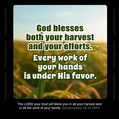 God blesses both your harvest and your efforts. Every work of your hands is under His favor.