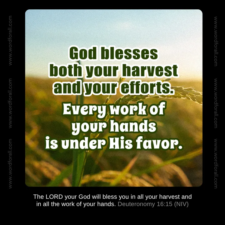 God blesses both your harvest and your efforts. Every work of your hands is under His favor.