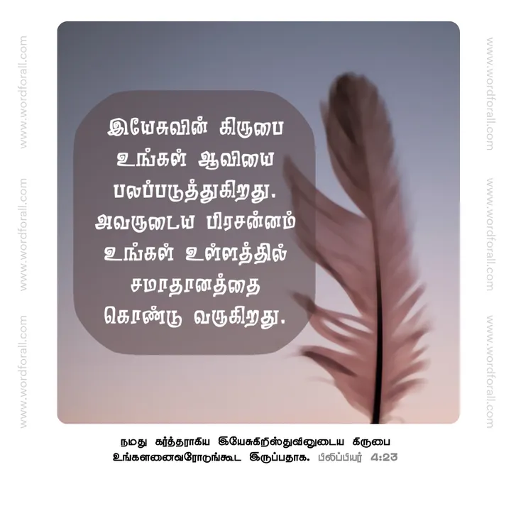 இயேசுவின் கிருபை உங்கள் ஆவியை பலப்படுத்துகிறது. அவருடைய பிரசன்னம் உங்கள் உள்ளத்தில் சமாதானத்தை கொண்டு வருகிறது.