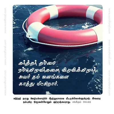 கர்த்தர் தம்மை நம்புகிறவர்களை விடுவிக்கிறார். அவர் தம் ஜனங்களை காத்து மீட்கிறார்.