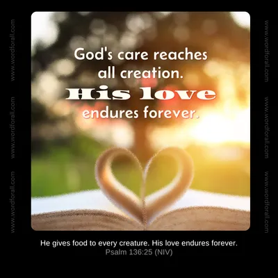God's care reaches all creation. His love endures forever.