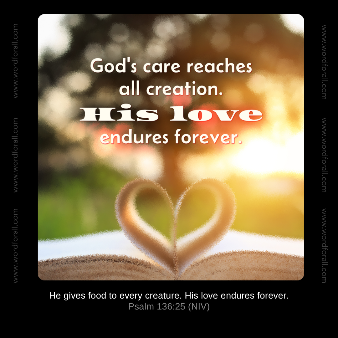 God's care reaches all creation. His love endures forever.