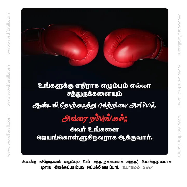 உங்களுக்கு எதிராக எழும்பும் எல்லா சத்துருக்களையும் ஆண்டவர் தோற்கடித்து வெற்றியை அளிப்பார். அவரை நம்புங்கள்; அவர் உங்களை ஜெயங்கொள்ளுகிறவராக ஆக்குவார்.
