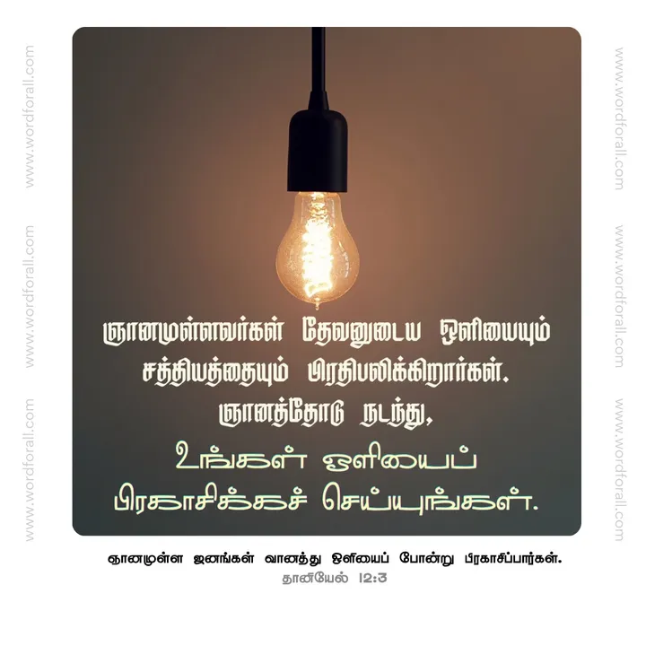 ஞானமுள்ளவர்கள் தேவனுடைய ஒளியையும் சத்தியத்தையும் பிரதிபலிக்கிறார்கள்.
ஞானத்தோடு நடந்து, உங்கள் ஒளியைப் பிரகாசிக்கச் செய்யுங்கள்.