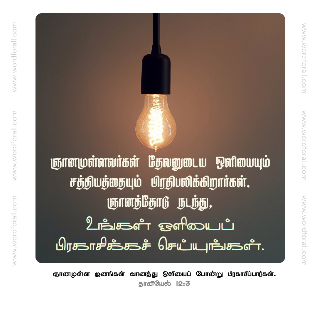 ஞானமுள்ளவர்கள் தேவனுடைய ஒளியையும் சத்தியத்தையும் பிரதிபலிக்கிறார்கள்.
ஞானத்தோடு நடந்து, உங்கள் ஒளியைப் பிரகாசிக்கச் செய்யுங்கள்.
