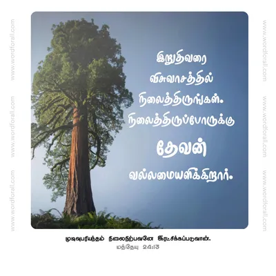இறுதிவரை விசுவாசத்தில் நிலைத்திருங்கள்.
நிலைத்திருப்போருக்கு தேவன் வல்லமையளிக்கிறார்.