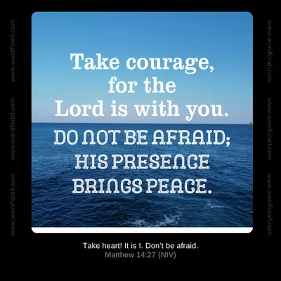 Take courage, for the Lord is with you. Do not be afraid; His presence brings peace.