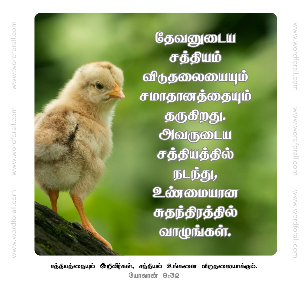 தேவனுடைய சத்தியம் விடுதலையையும் சமாதானத்தையும் தருகிறது. அவருடைய சத்தியத்தில் நடந்து, உண்மையான சுதந்திரத்தில் வாழுங்கள்.