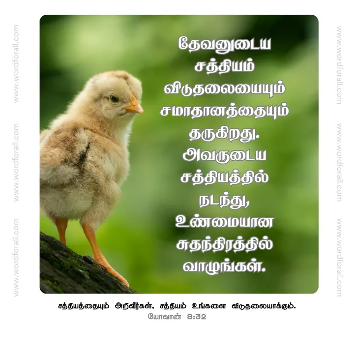 தேவனுடைய சத்தியம் விடுதலையையும் சமாதானத்தையும் தருகிறது. அவருடைய சத்தியத்தில் நடந்து, உண்மையான சுதந்திரத்தில் வாழுங்கள்.