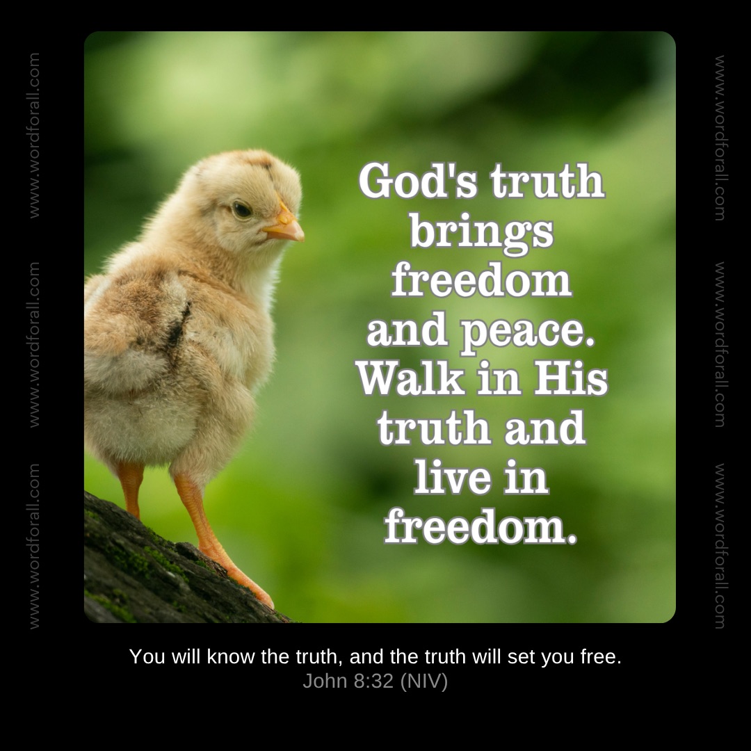 God's truth brings freedom and peace.
Walk in His truth and live in freedom.